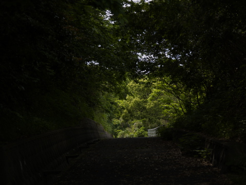 _5080315.jpg