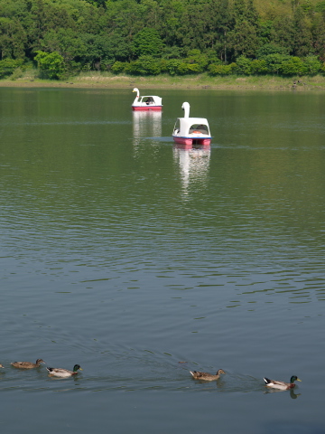 _5150424.jpg