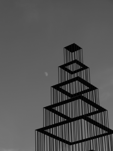 _8141031_2.jpg