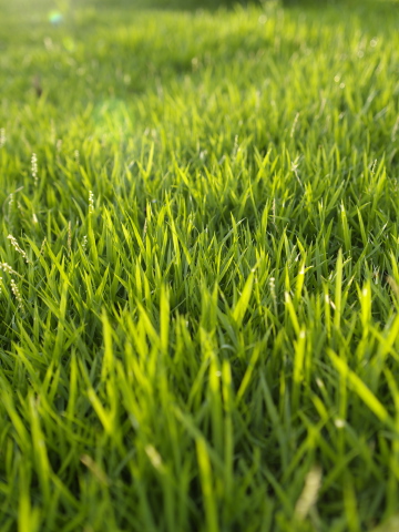 _8141064_3.jpg