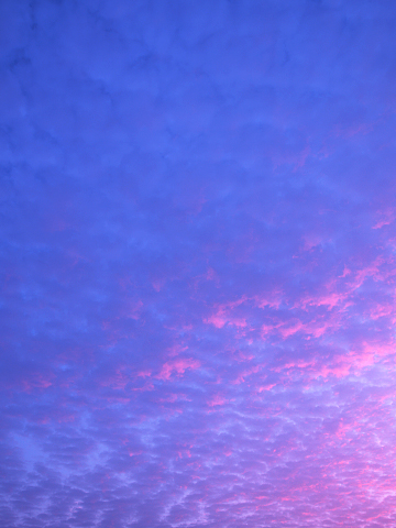 _9291586_3.jpg