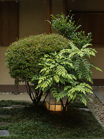 _A051640_2.jpg