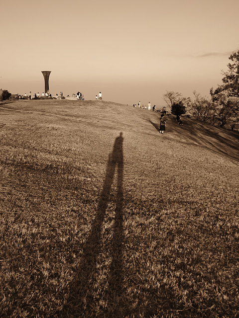 _A091800.jpg