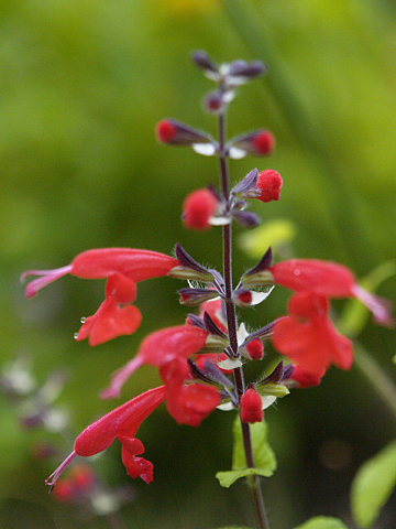 _B052227.jpg