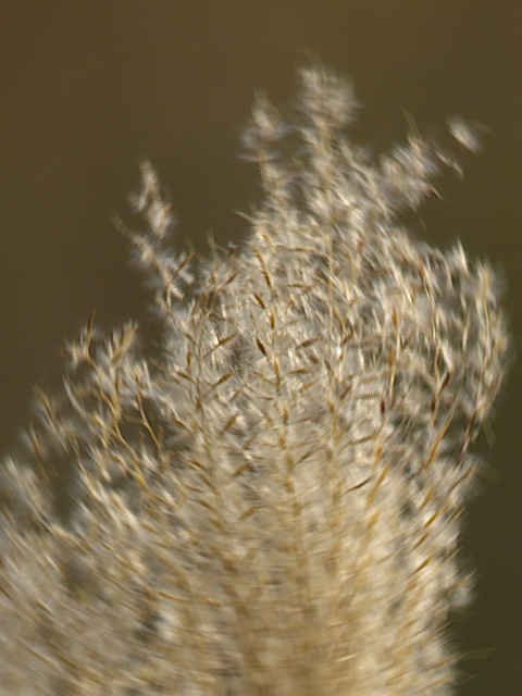 _B272332_2.jpg