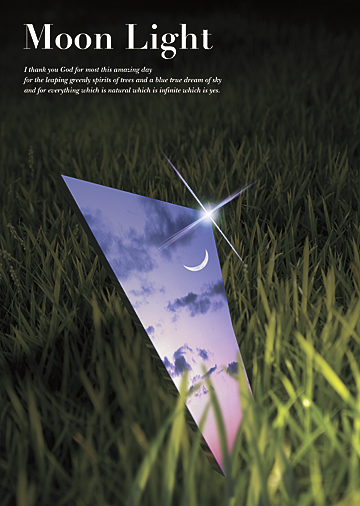 moonlight2.jpg