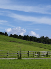 wb48_cont0_cm2_50.jpg
