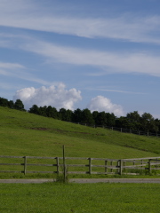 wbout_off_cm2_0.jpg