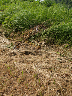 E3298256.jpg