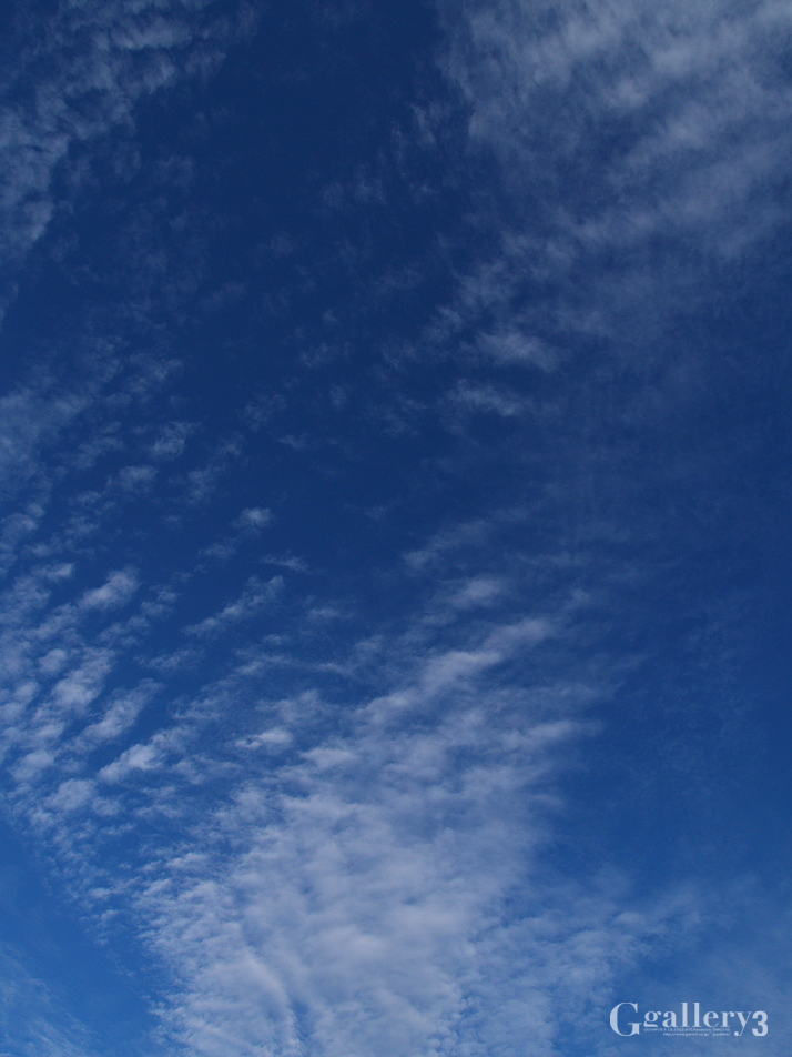E5123634_E500.jpg