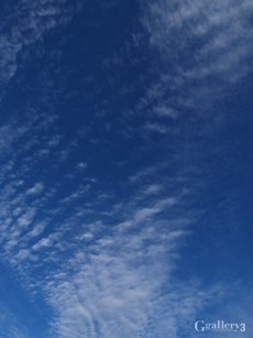 E5123634_E500m.jpg