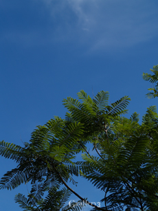E5130083_E500m.jpg