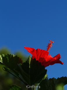 E5130250_E500m.jpg