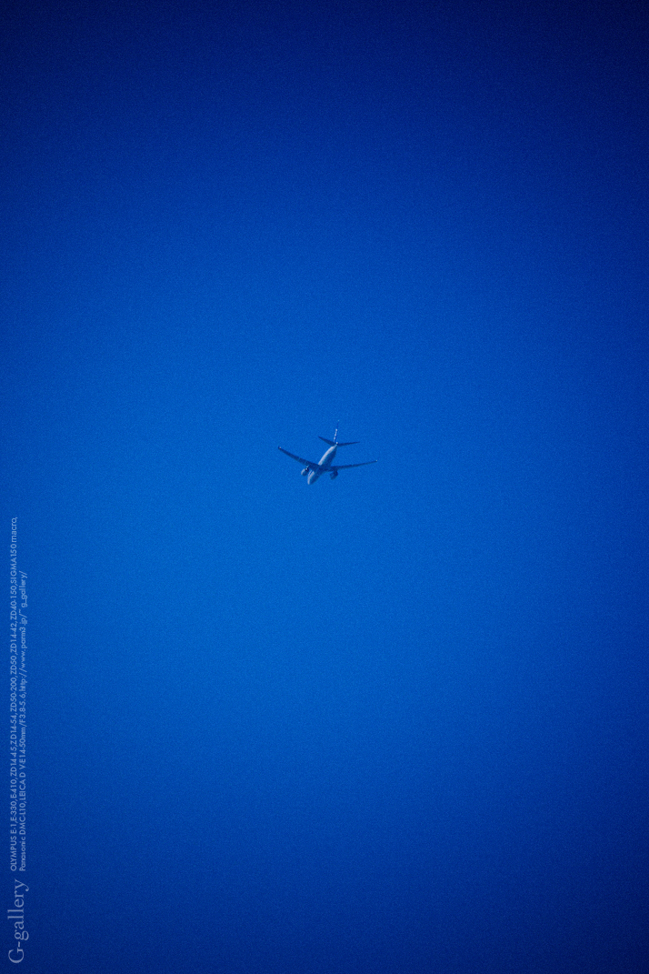 P1060393-10.jpg