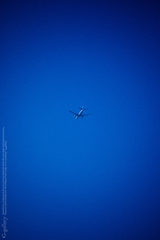 P1060393-10m.jpg