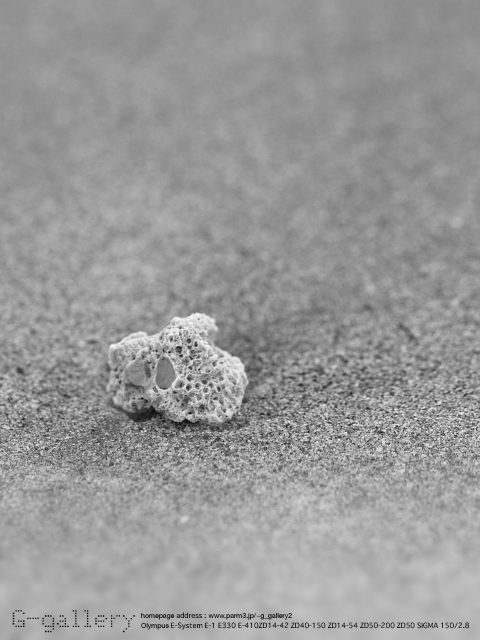 P7160864_410_150_2.jpg