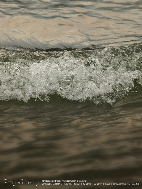 P7160877_410_150_2.jpg