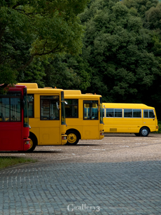 P7210423-3m.jpg