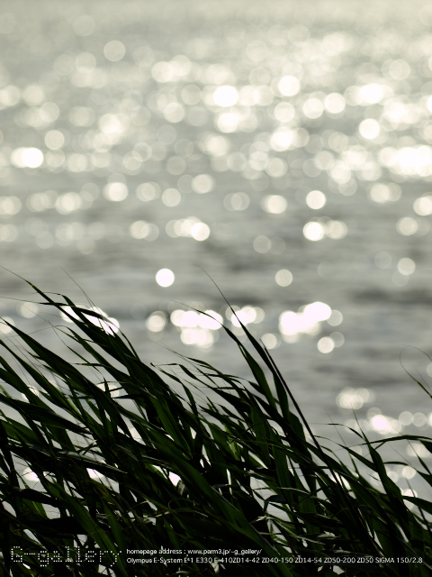 P7220944_410_150_3.jpg