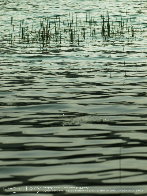 P7221104_410_150_3.jpg
