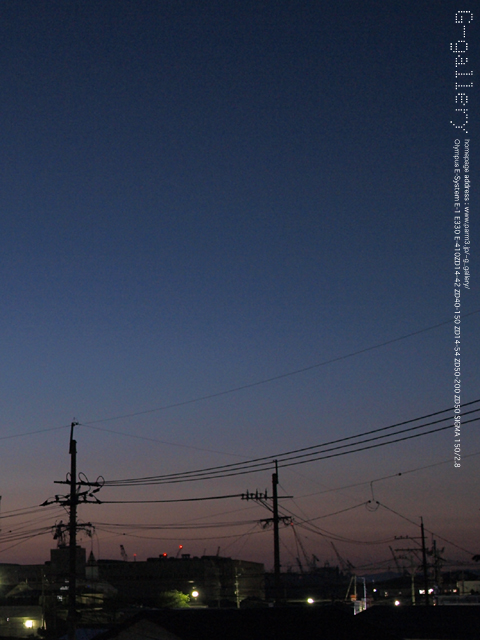 P7228252_410_42.jpg