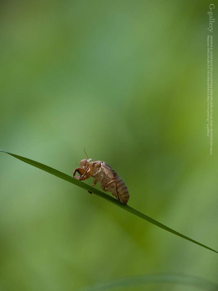 P9060924_1.jpg
