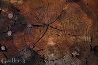P9141522-12m.jpg
