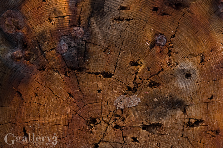 P9141525-13.jpg