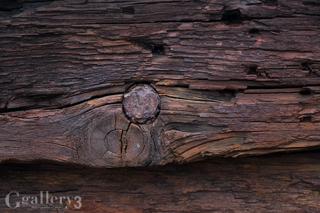 P9141537-17m.jpg