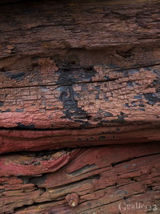 P9141540-18m.jpg