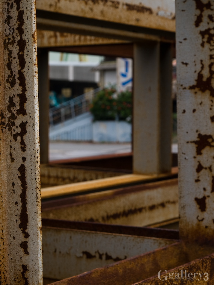P9141563-21.jpg