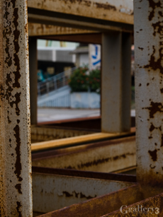 P9141563-21m.jpg