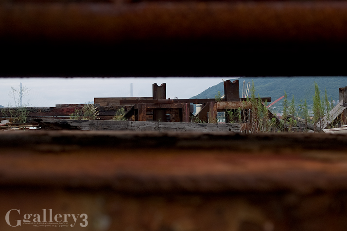 P9141576-24.jpg