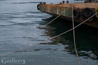 P9141583-25m.jpg