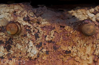P9141607-28m.jpg