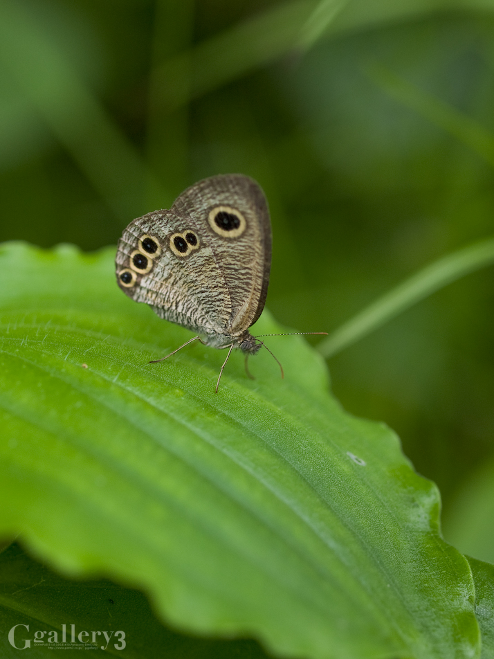 P9151713-1.jpg