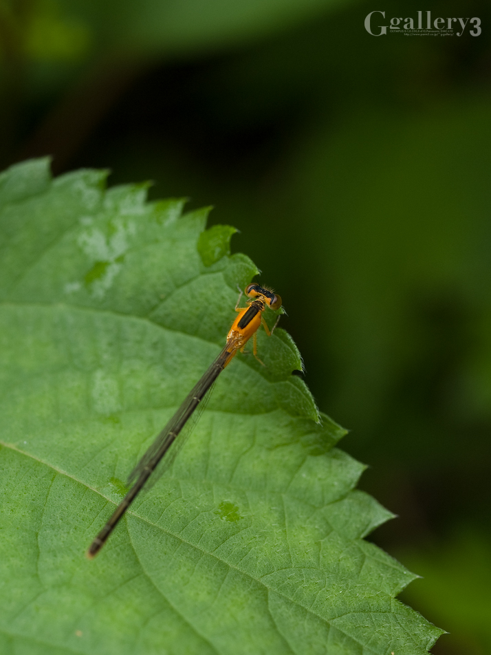 P9151739-2.jpg