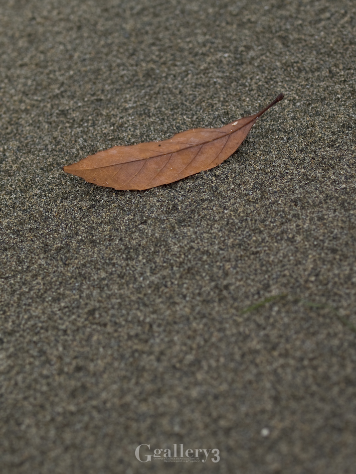P9151843-13.jpg