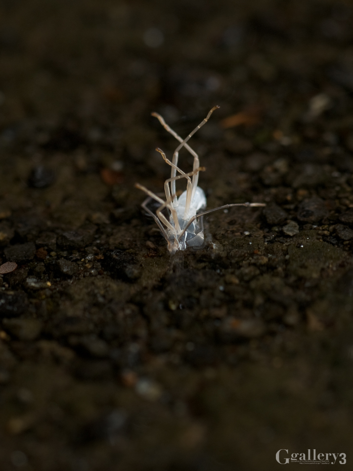 P9212067_150.jpg