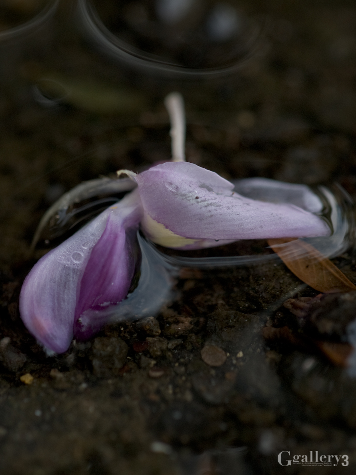 P9212070_150.jpg