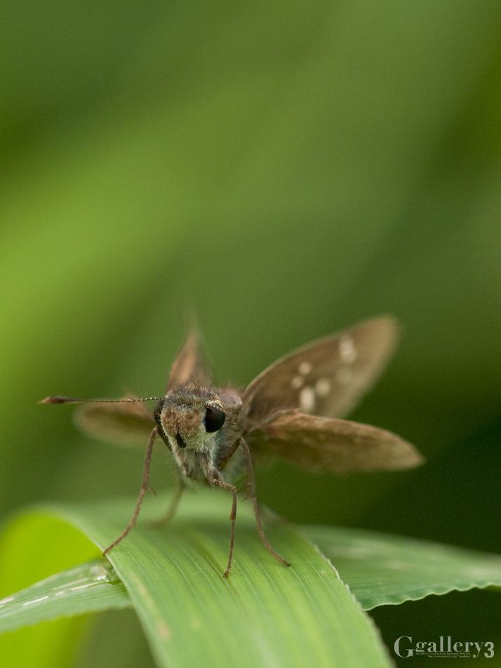 P9212152_150.jpg