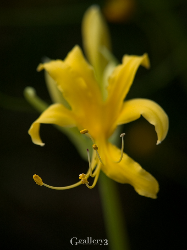 P9272673-200.jpg