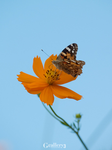P9272687-202m.jpg