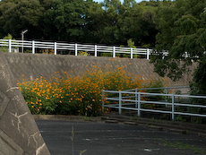 P9272812-200.jpg