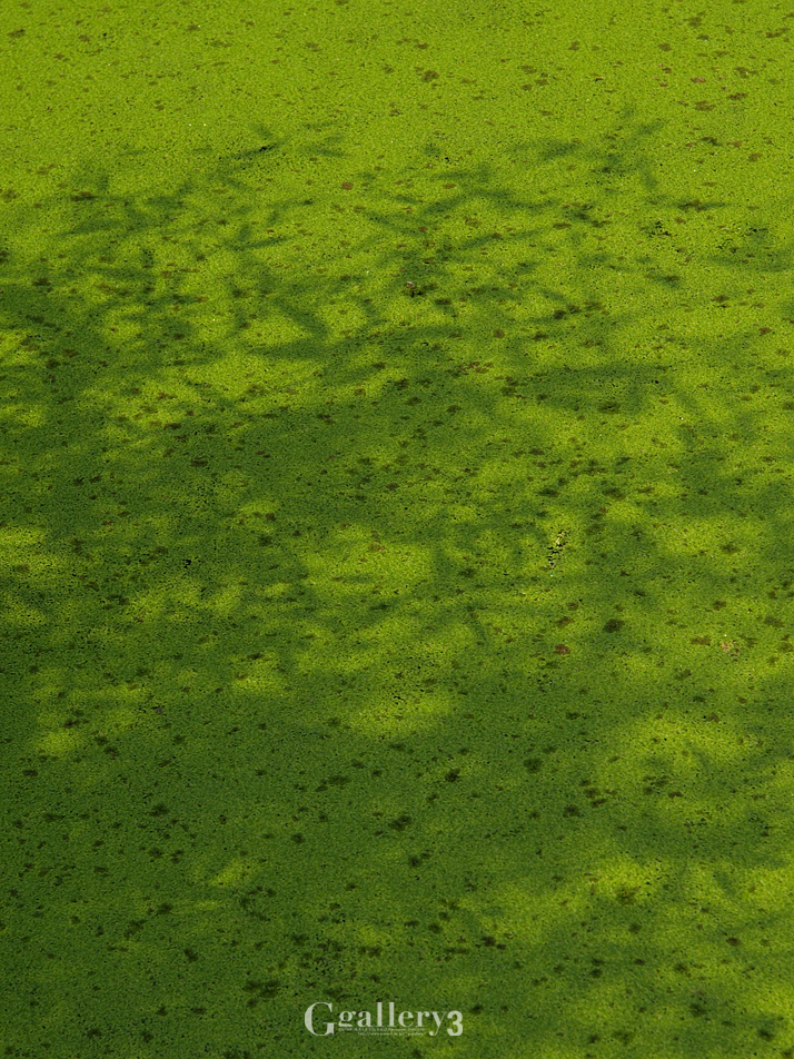 PA113523_14-54.jpg