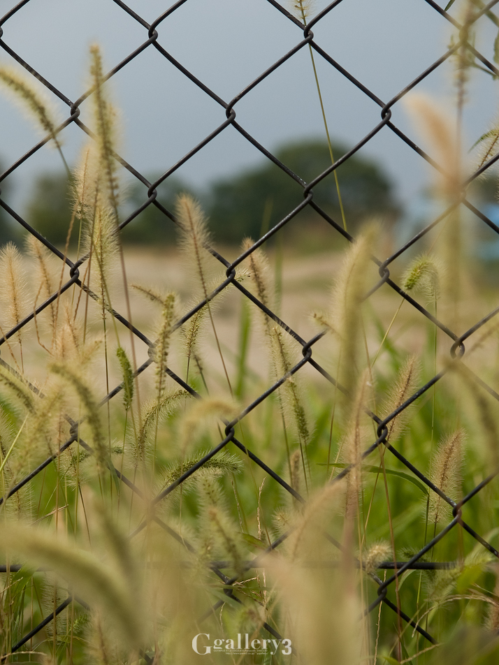 PA113542-14.jpg