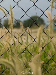 PA113542-14m.jpg