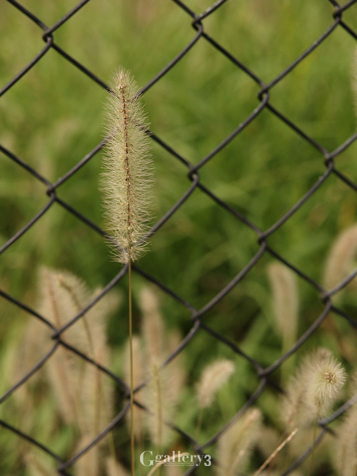 PA113554_14-54.jpg