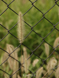 PA113554_14-54m.jpg