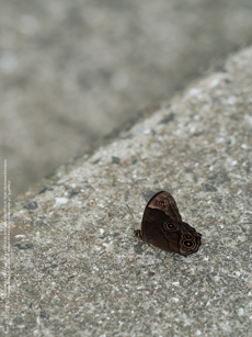 _1050872-1m.jpg